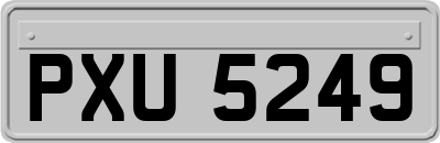 PXU5249