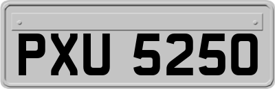 PXU5250