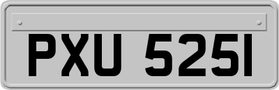 PXU5251