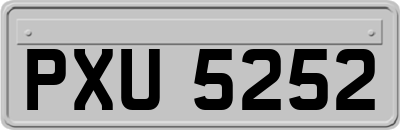 PXU5252