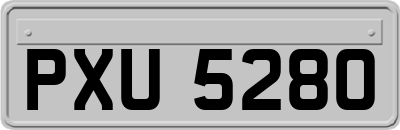 PXU5280