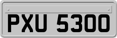 PXU5300