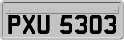 PXU5303