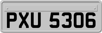 PXU5306