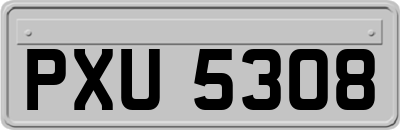 PXU5308