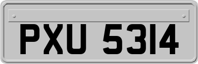 PXU5314