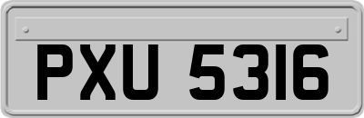 PXU5316