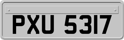 PXU5317