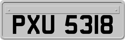 PXU5318