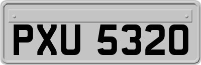 PXU5320