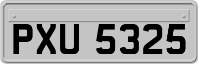 PXU5325