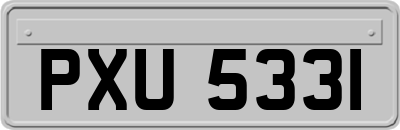 PXU5331