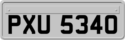 PXU5340