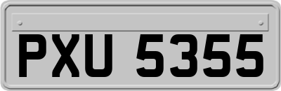 PXU5355