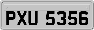 PXU5356