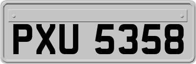 PXU5358