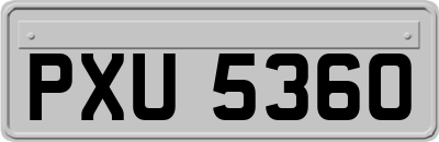 PXU5360