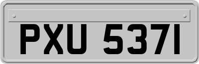 PXU5371