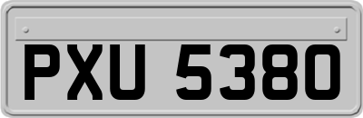 PXU5380