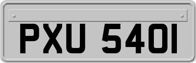 PXU5401