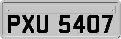 PXU5407