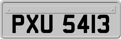 PXU5413