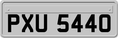 PXU5440