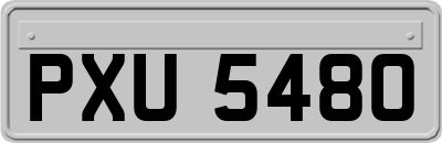 PXU5480