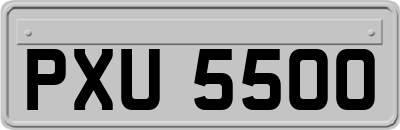 PXU5500