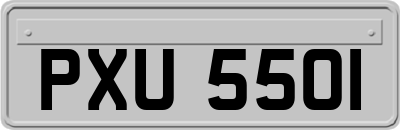 PXU5501