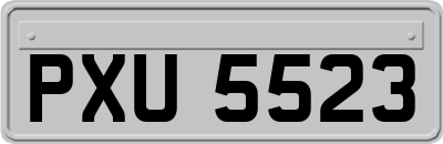 PXU5523