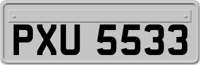 PXU5533