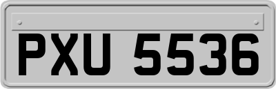 PXU5536