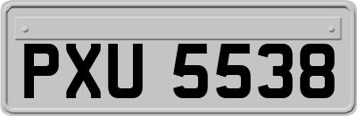 PXU5538