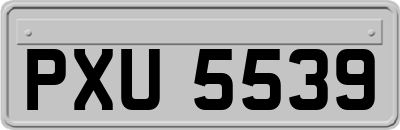 PXU5539