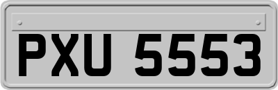 PXU5553