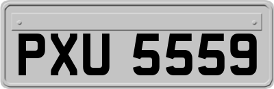 PXU5559