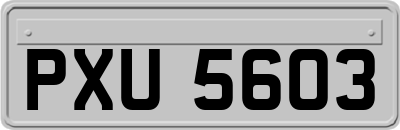 PXU5603