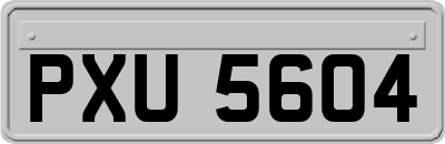 PXU5604