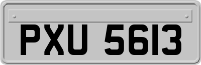 PXU5613