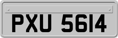 PXU5614