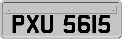 PXU5615