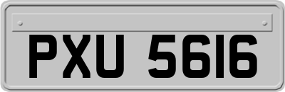 PXU5616