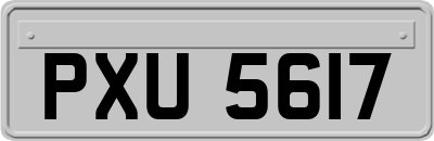 PXU5617