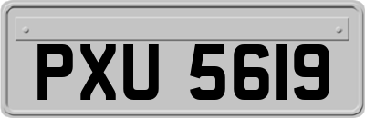 PXU5619