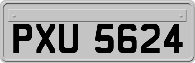 PXU5624