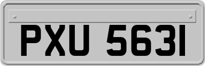 PXU5631