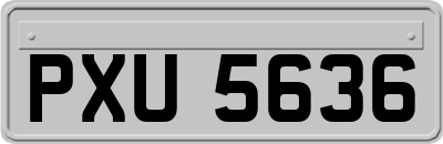 PXU5636