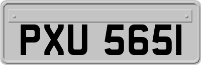 PXU5651