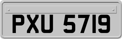 PXU5719